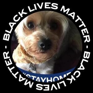 Meet your Posher, Judy